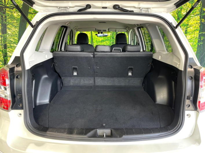 2013 Subaru Forester DBA-SJG (UW-69fff605dcf0f)[12]