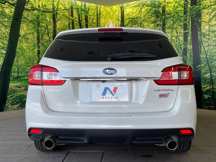 2017 Subaru Levorg DBA-VM4 (UW-69fff60daa159)[21]