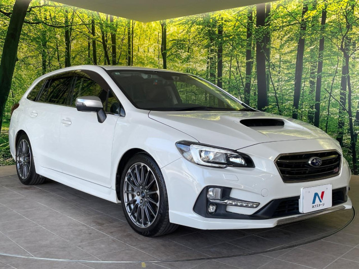 2017 Subaru Levorg DBA-VM4 (UW-69fff60daa159)[18]