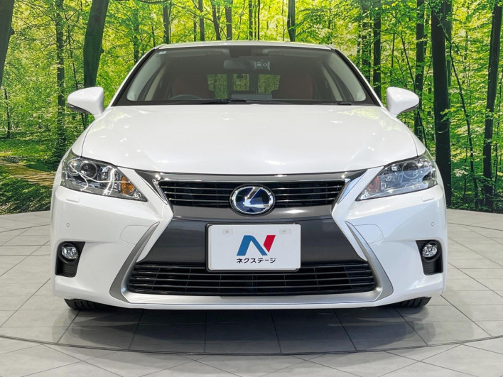 2014 Lexus CT DAA-ZWA10 (UW-69fff628d0101)[15]