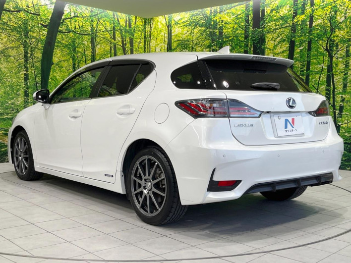 2014 Lexus CT DAA-ZWA10 (UW-69fff628d0101)[10]