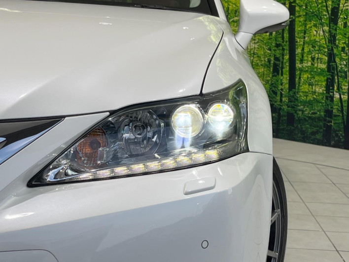 2014 Lexus CT DAA-ZWA10 (UW-69fff628d0101)[18]
