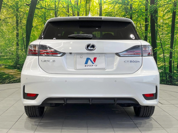2014 Lexus CT DAA-ZWA10 (UW-69fff628d0101)[11]