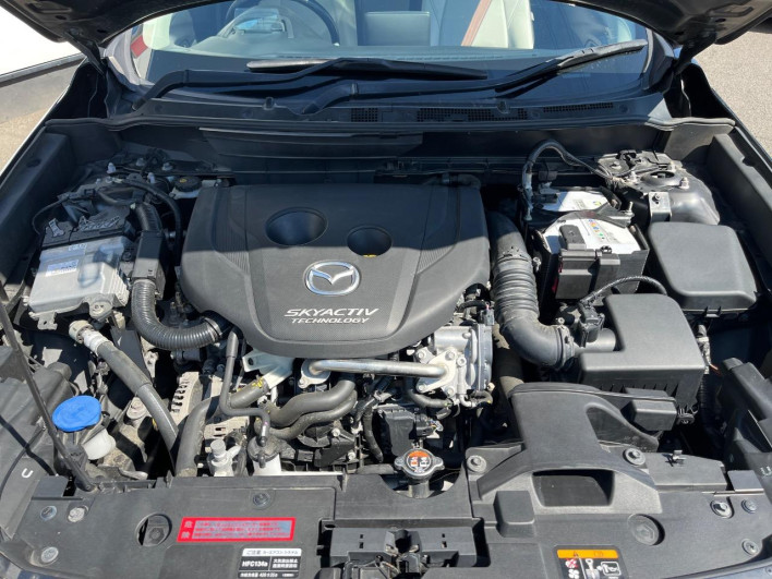 2015 Mazda CX-3 LDA-DK5FW (UW-6a0146c39b06f)[26]