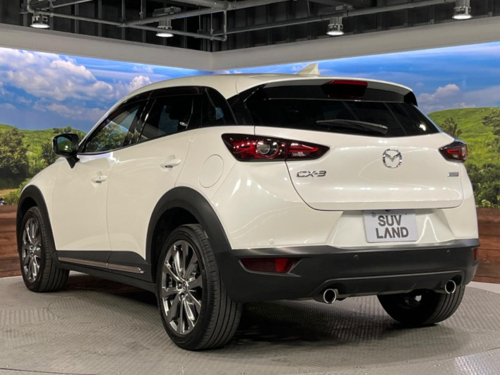 2018 Mazda CX-3 3DA-DK8FW (UW-6a0146c3efe5c)[23]