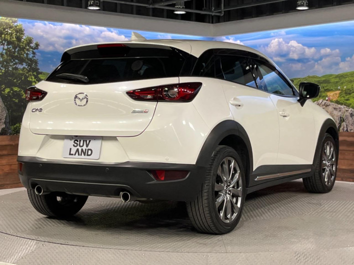 2018 Mazda CX-3 3DA-DK8FW (UW-6a0146c3efe5c)[21]