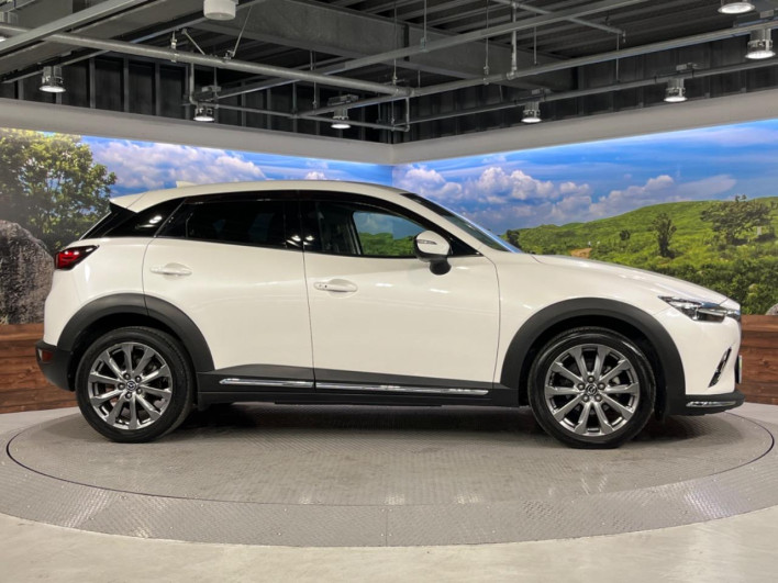 2018 Mazda CX-3 3DA-DK8FW (UW-6a0146c3efe5c)[20]