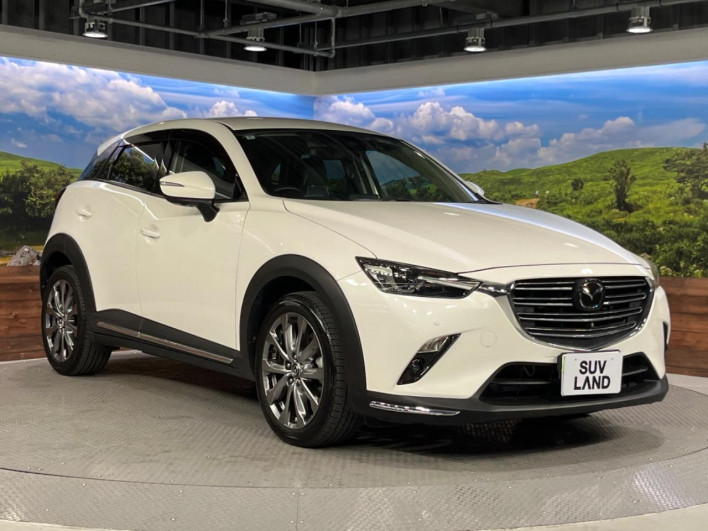 2018 Mazda CX-3 3DA-DK8FW (UW-6a0146c3efe5c)[19]