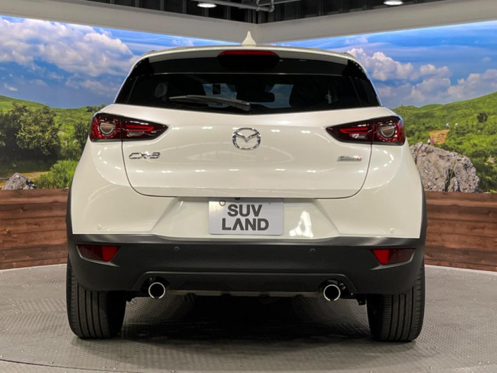 2018 Mazda CX-3 3DA-DK8FW (UW-6a0146c3efe5c)[22]