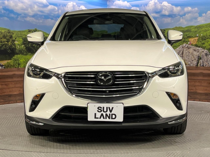 2018 Mazda CX-3 3DA-DK8FW (UW-6a0146c3efe5c)[18]