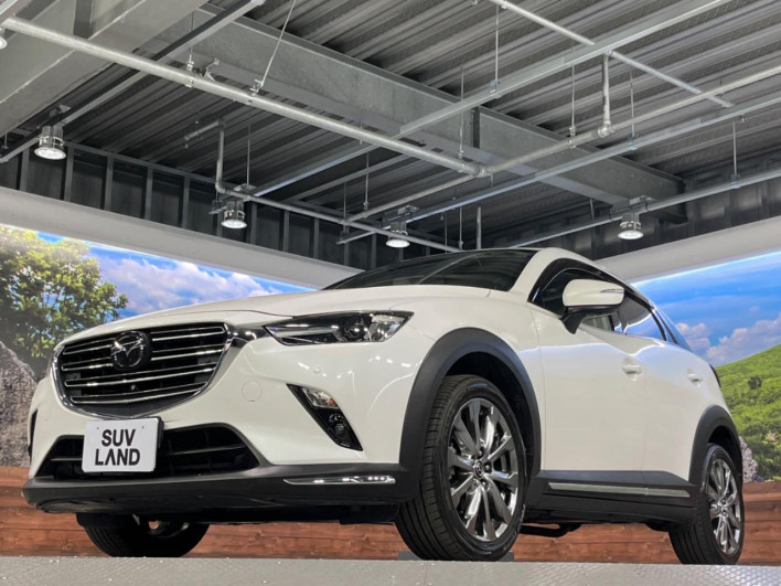 2018 Mazda CX-3 3DA-DK8FW (UW-6a0146c3efe5c)[16]