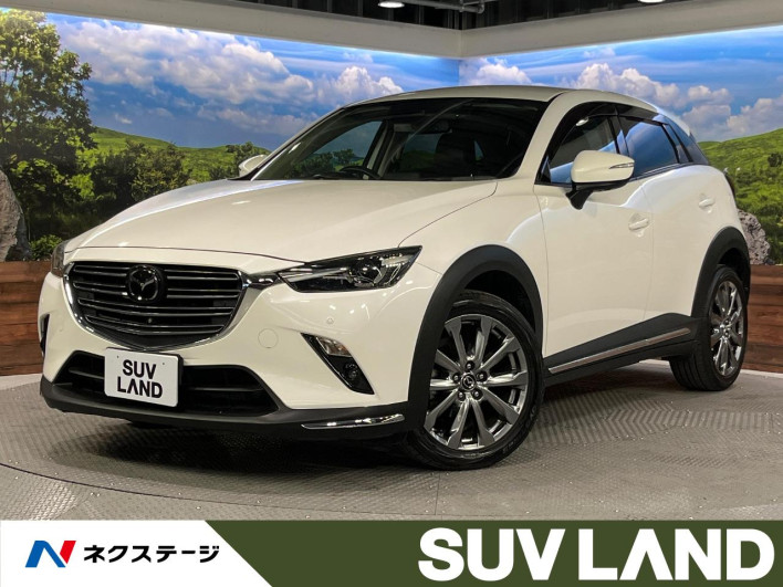 2018 Mazda CX-3 3DA-DK8FW (UW-6a0146c3efe5c)[3]