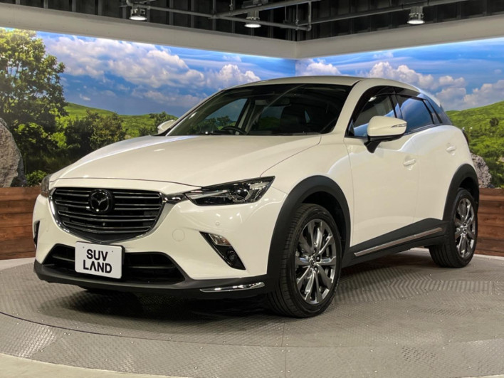 2018 Mazda CX-3 3DA-DK8FW (UW-6a0146c3efe5c)[17]