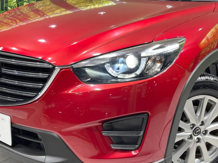 2016 Mazda CX-5 DBA-KEEFW (UW-6a0146fc22c46)[19]