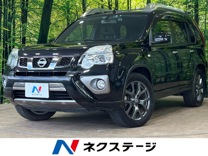 2013 Nissan X-Trail DBA-NT31 (UW-6a029933441fa)[3]