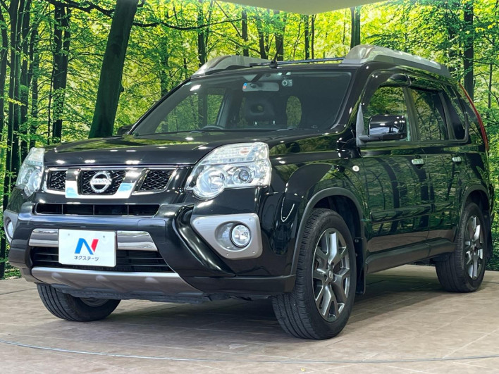 2013 Nissan X-Trail DBA-NT31 (UW-6a029933441fa)[5]