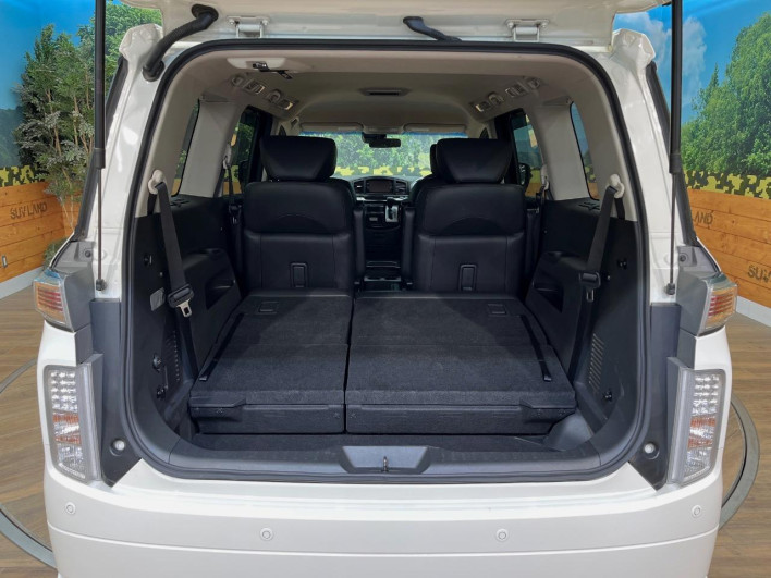 2019 Nissan Elgrand DBA-TNE52 (UW-6a02994d2f76b)[4]