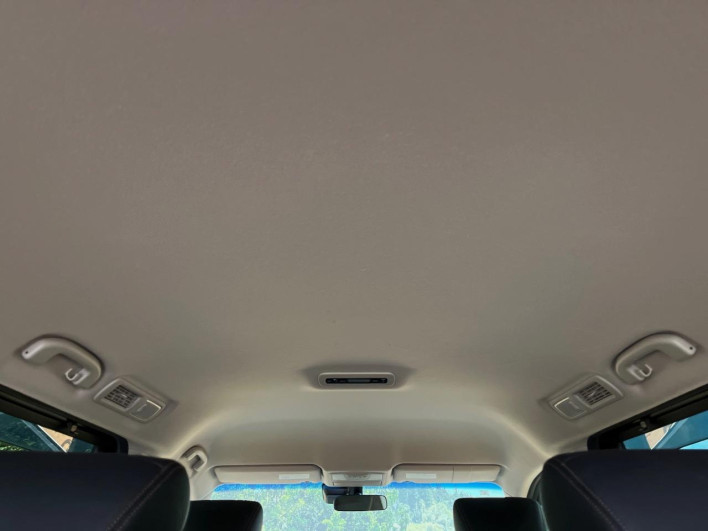 2019 Nissan Elgrand DBA-TNE52 (UW-6a02994d2f76b)[5]