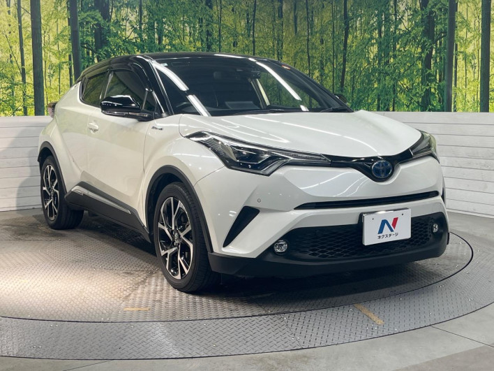 2018 Toyota C-HR DAA-ZYX10 (UW-6a0299842fe57)[18]