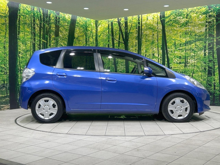 2010 Honda Fit Hybrid DAA-GP1 (UW-6a03ea5b7b345)[8]