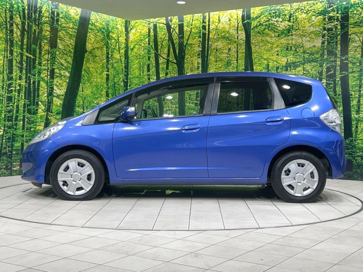 2010 Honda Fit Hybrid DAA-GP1 (UW-6a03ea5b7b345)[12]