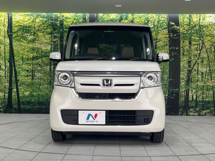 2017 Honda N-BOX DBA-JF3 (UW-6a03ea7d0cf48)[6]