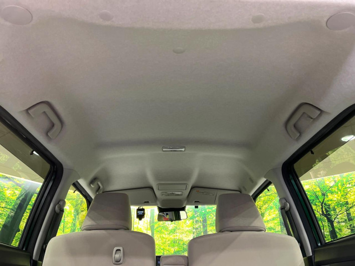 2018 Daihatsu Cast DBA-LA250S (UW-6a03eaa582b8a)[17]