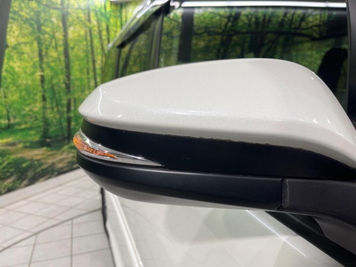 2017 Toyota Noah DBA-ZRR80W (UW-6a03eb2a779ed)[14]