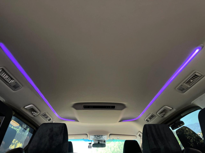 2020 Toyota Alphard Hybrid 6AA-AYH30W (UW-6a053b7edbeef)[29]