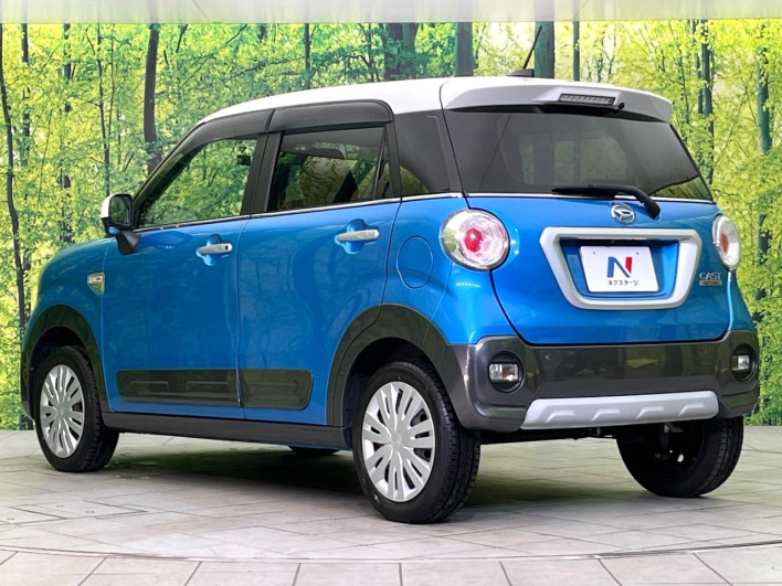 2017 Daihatsu Cast DBA-LA250S (UW-6a053bf74b8b6)[13]