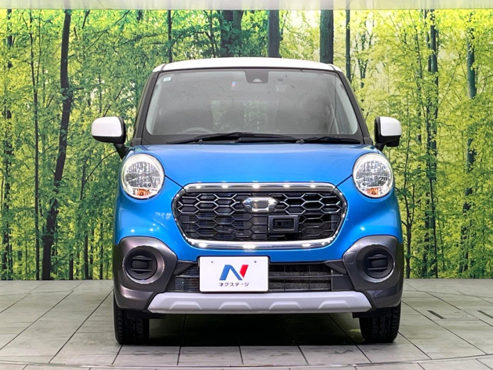 2017 Daihatsu Cast DBA-LA250S (UW-6a053bf74b8b6)[14]