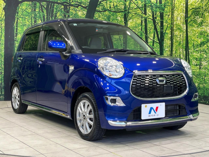 2017 Daihatsu Cast DBA-LA250S (UW-6a053bf7e883d)[16]