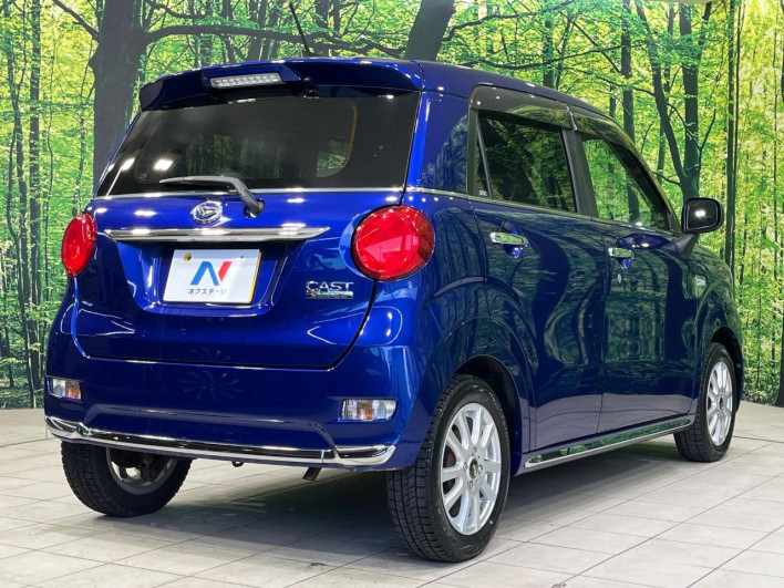 2017 Daihatsu Cast DBA-LA250S (UW-6a053bf7e883d)[18]