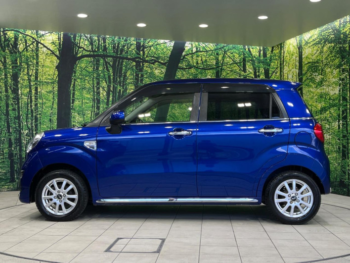 2017 Daihatsu Cast DBA-LA250S (UW-6a053bf7e883d)[21]