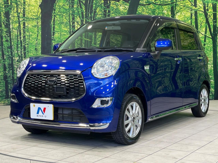 2017 Daihatsu Cast DBA-LA250S (UW-6a053bf7e883d)[14]