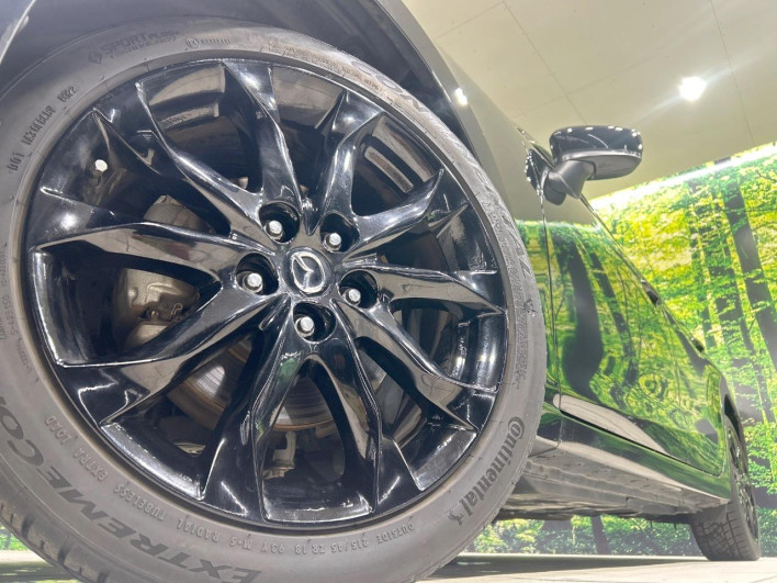 2016 Mazda Axela Sports LDA-BMLFS (UW-6a068d64dd0a7)[19]
