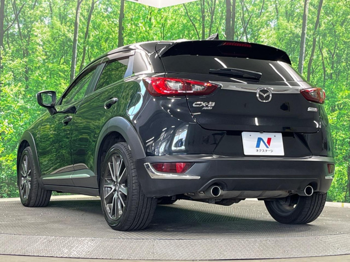 2016 Mazda CX-3 LDA-DK5AW (UW-6a068d7038ff8)[24]