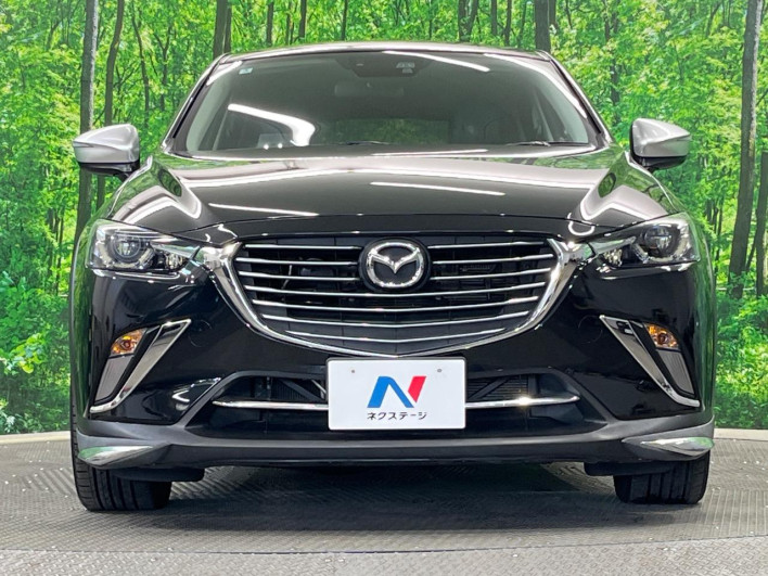 2016 Mazda CX-3 LDA-DK5AW (UW-6a068d7038ff8)[5]