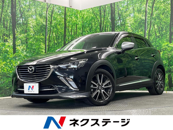 2016 Mazda CX-3 LDA-DK5AW (UW-6a068d7038ff8)[3]