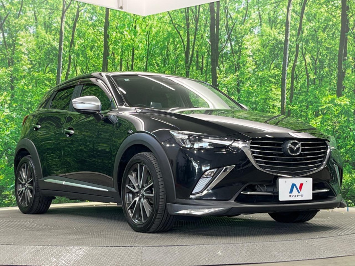2016 Mazda CX-3 LDA-DK5AW (UW-6a068d7038ff8)[6]