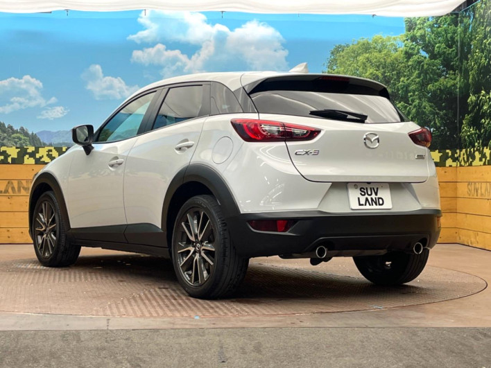 2015 Mazda CX-3 LDA-DK5FW (UW-6a068d7086371)[19]