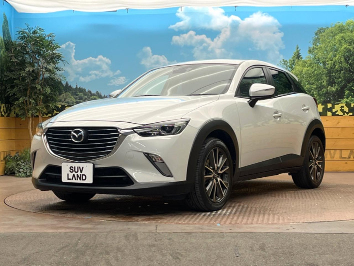 2015 Mazda CX-3 LDA-DK5FW (UW-6a068d7086371)[13]