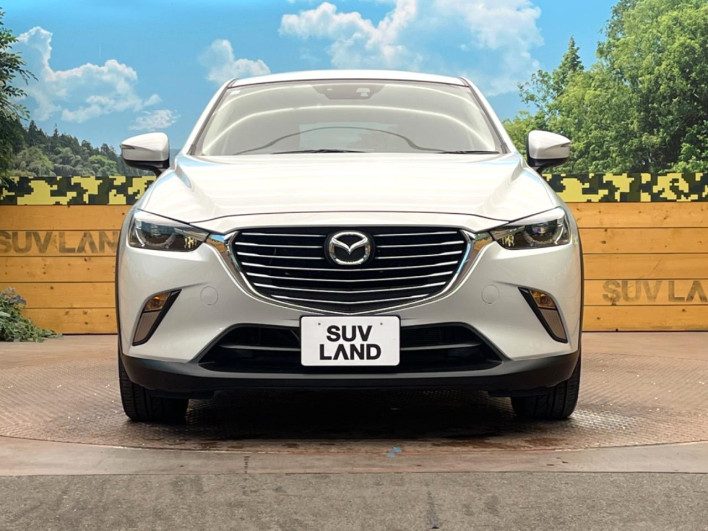 2015 Mazda CX-3 LDA-DK5FW (UW-6a068d7086371)[14]