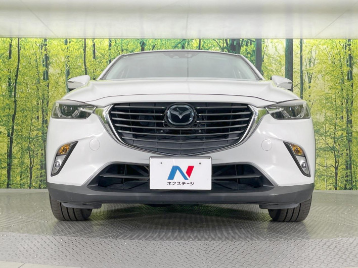 2016 Mazda CX-3 LDA-DK5FW (UW-6a068d70bab95)[13]