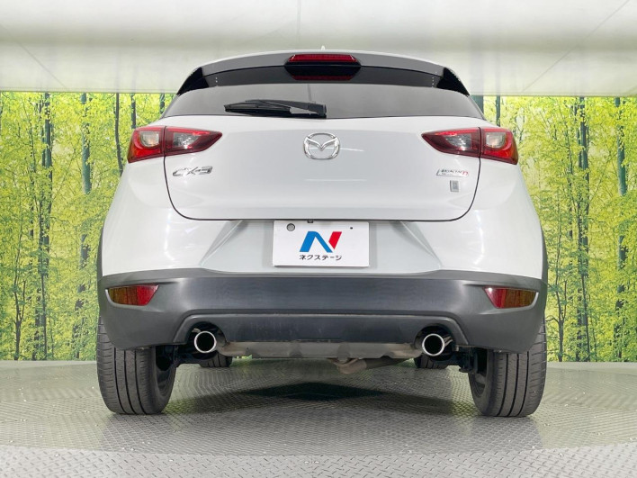 2016 Mazda CX-3 LDA-DK5FW (UW-6a068d70bab95)[18]
