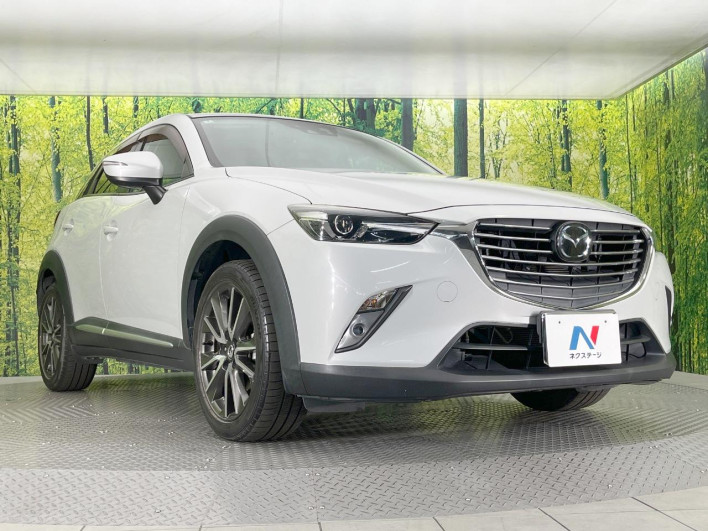 2016 Mazda CX-3 LDA-DK5FW (UW-6a068d70bab95)[14]