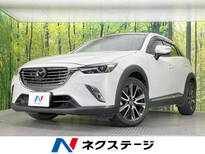2016 Mazda CX-3 LDA-DK5FW (UW-6a068d70bab95)[3]