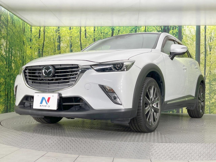 2016 Mazda CX-3 LDA-DK5FW (UW-6a068d70bab95)[15]