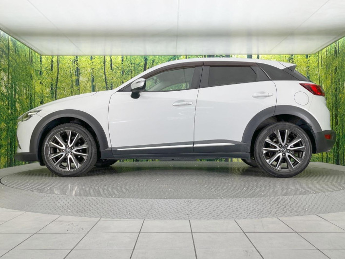 2016 Mazda CX-3 LDA-DK5FW (UW-6a068d70bab95)[16]