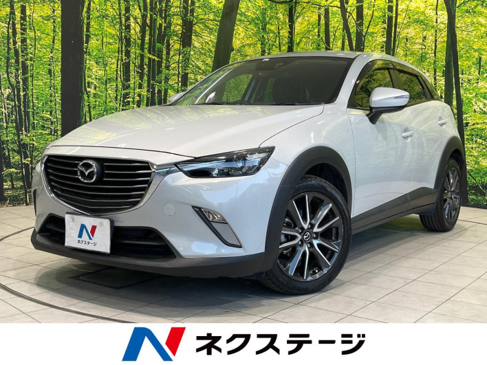 2016 Mazda CX-3 LDA-DK5FW (UW-6a068d719a87f)[3]